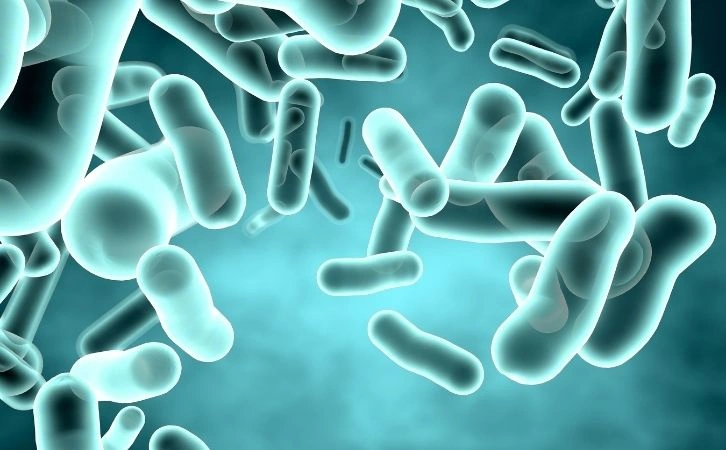 益生菌：肠道健康的守护神